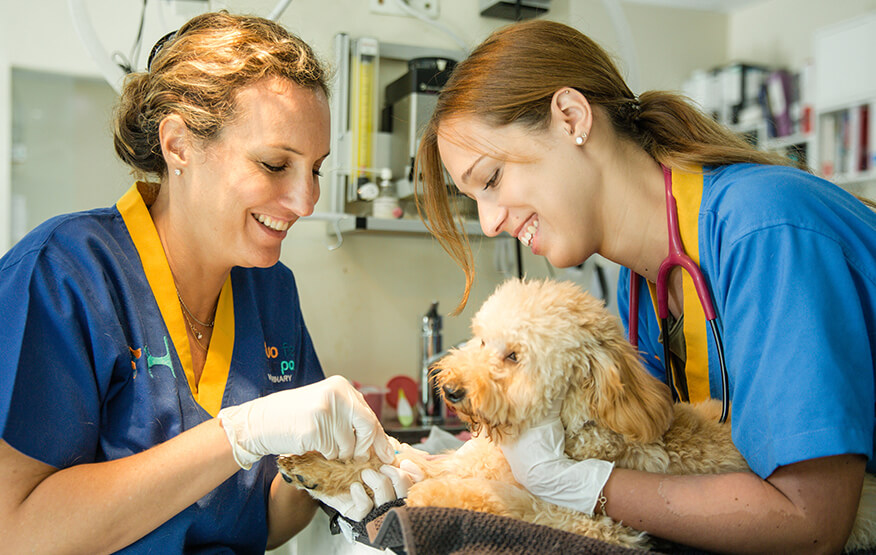 clinic for animals near me