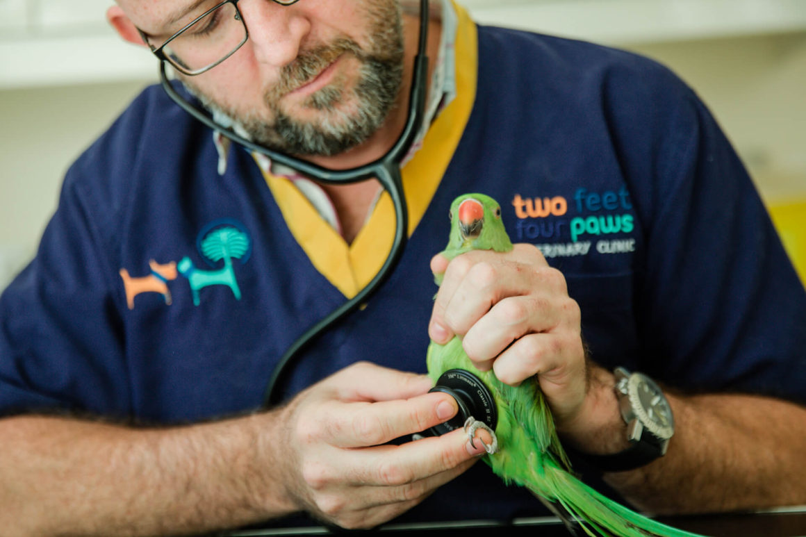 Specialist Exotics Consultation/Care