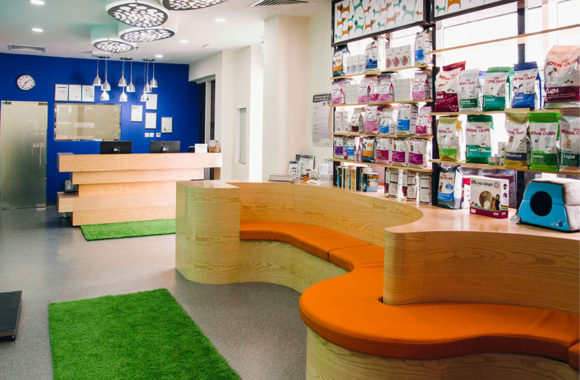 Pet Nutrition Consultation Dubai