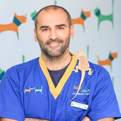 Dr Francisco Ruiz