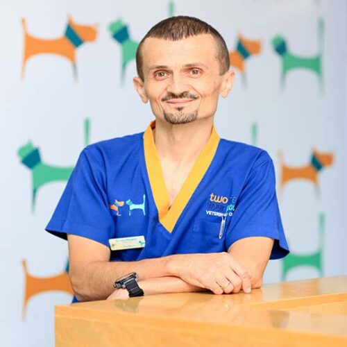 Dr Ivan Milojevic