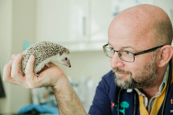Pet Clinics Dubai