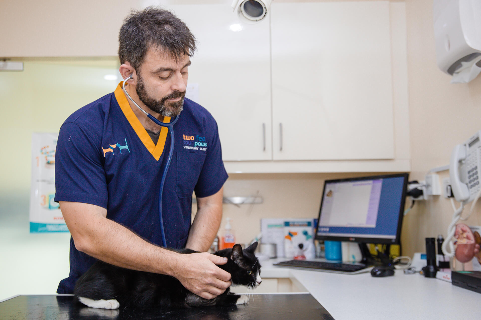 best cat vet in dubai