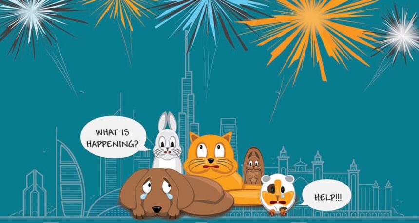 Fireworks and your Pet