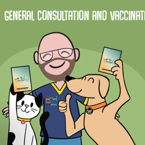 PET VACCINATIONS: Protecting your pet family against diseases