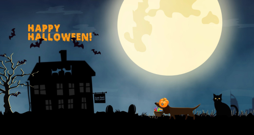 Celebrating Halloween with Your Pet: A Guide to Safety