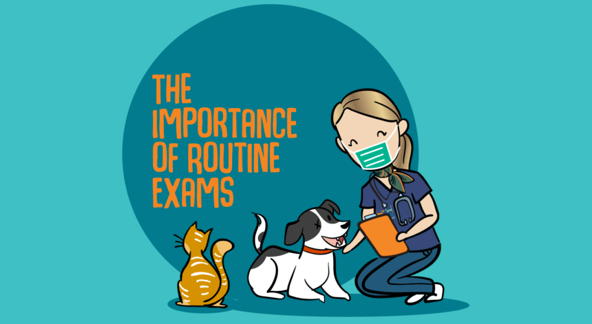 The Importance of Routine Exams for Your Pet The Importance of Routine Exams for Your Pet
