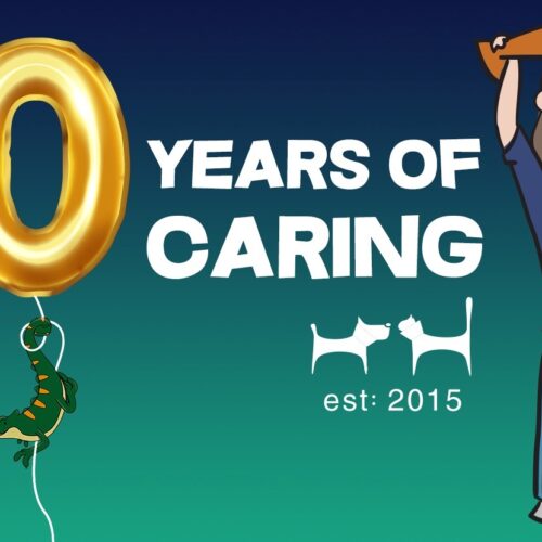 10 Years of Love, Care & Unforgettable Moments