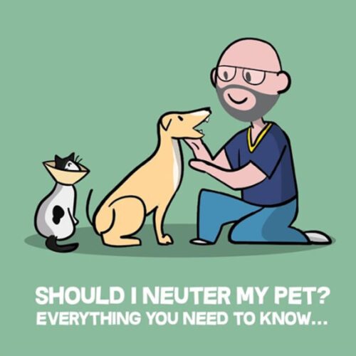 Should I Neuter My Pet? Everything You Need to Know…