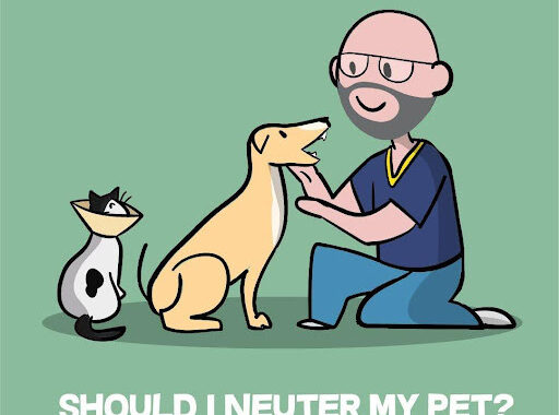Should I Neuter My Pet? Everything You Need to Know…