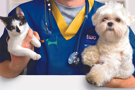 cat and dog vaccination in Dubai