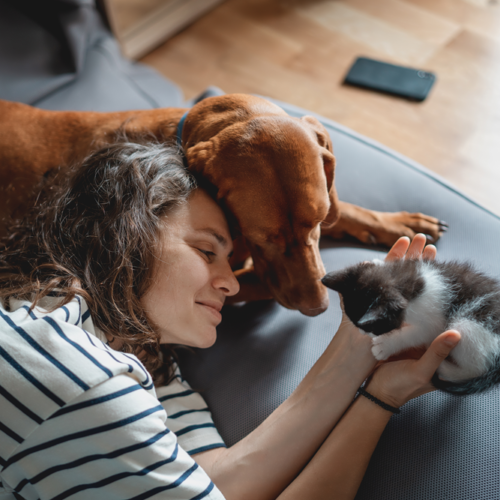 How to Keep Your Pet Healthy: A Practical Guide for Every Pet Parent