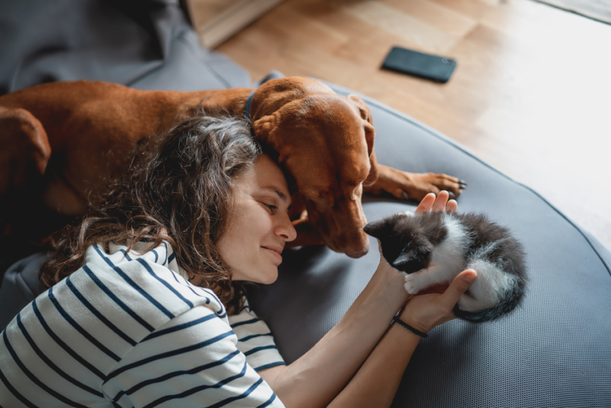 How to Keep Your Pet Healthy: A Practical Guide for Every Pet Parent