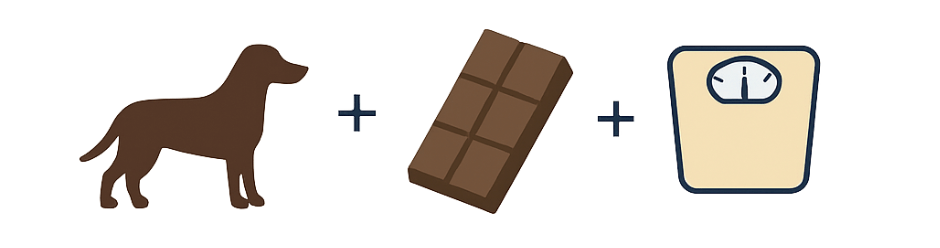 dog and choc