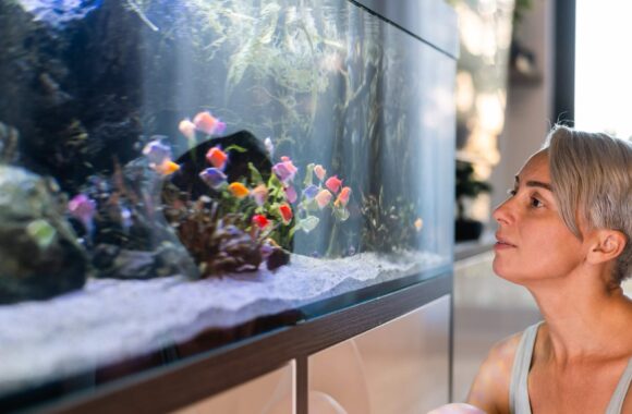 Fish Veterinary Care in Dubai; Yes, We Do Fish