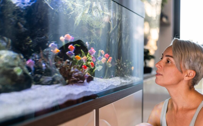 Fish Veterinary Care in Dubai; Yes, We Do Fish Fish Veterinary Care in Dubai; Yes, We Do Fish