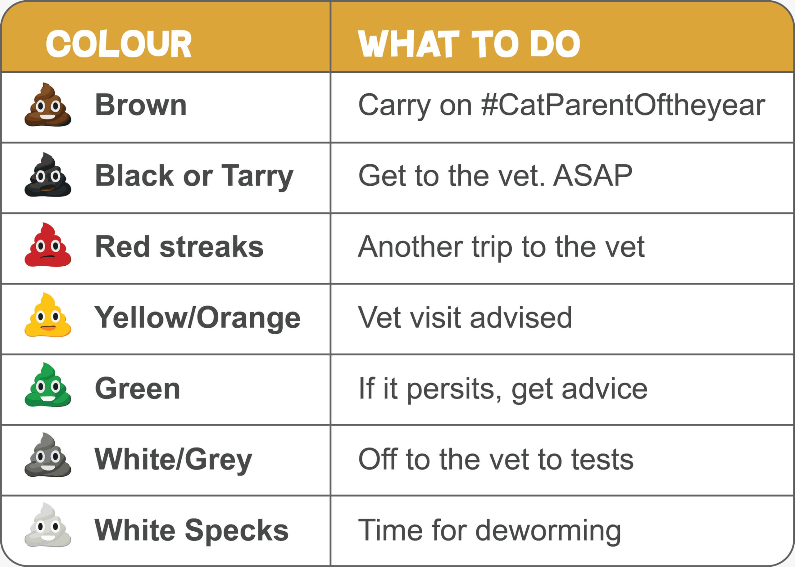 cat poop colours