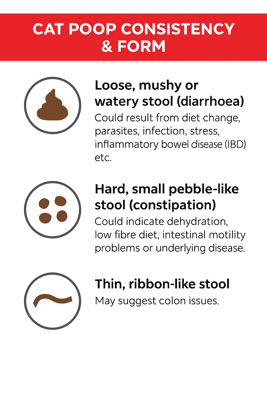 cat poop consistency