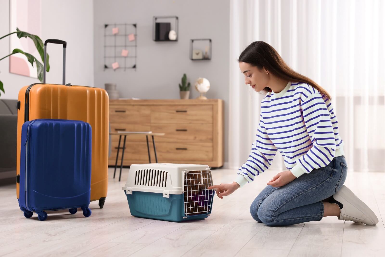 woman and pet in carry box