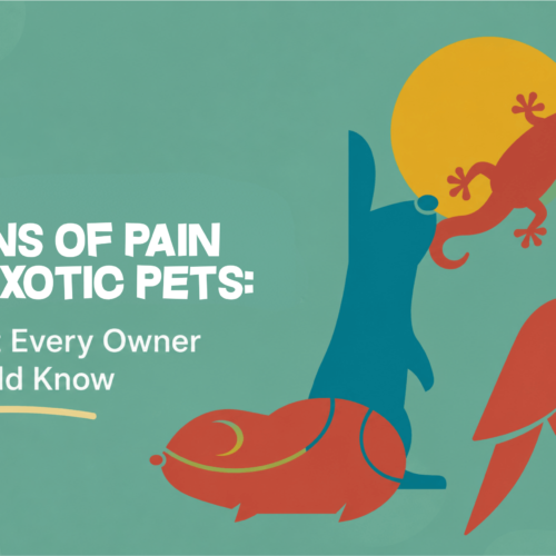 Signs of Pain in Exotic Pets: What Every Owner Should Know Signs of Pain in Exotic Pets: What Every Owner Should Know
