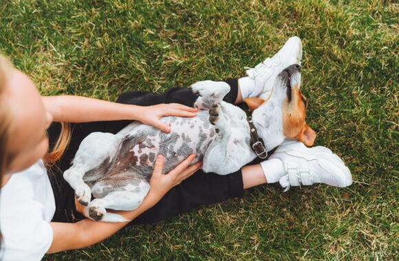 Feeding a Dog With Allergies: What to Avoid and What Helps