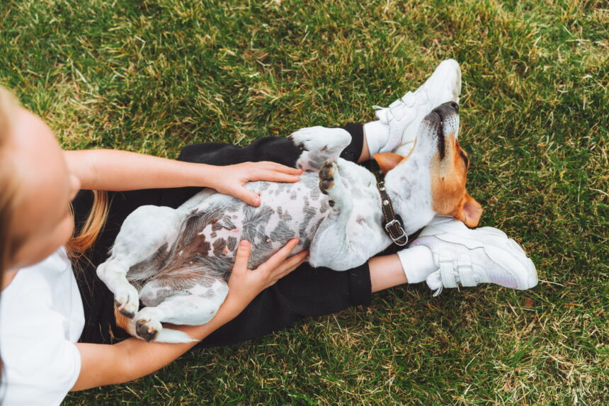 Feeding a Dog With Allergies: What to Avoid and What Helps Feeding a Dog With Allergies: What to Avoid and What Helps